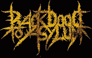 logo Back Door To Asylum